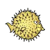 Lease Packet Server OS OpenBSD