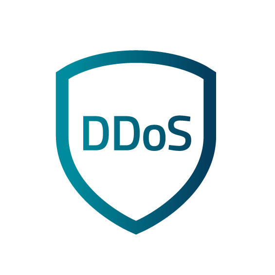 Lease Packet Data Center Server DDoS Protection