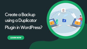 Read more about the article How to Create a Backup using a Duplicator Plugin in WordPress?