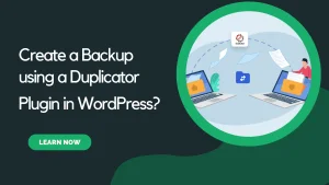 Read more about the article How to Create a Backup using a Duplicator Plugin in WordPress?