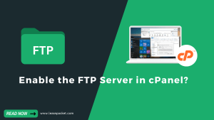 Read more about the article How to Enable the FTP Server in cPanel?