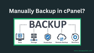 Read more about the article How to Generate a Manually Backup in cPanel?