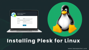 Read more about the article How to Install Plesk?