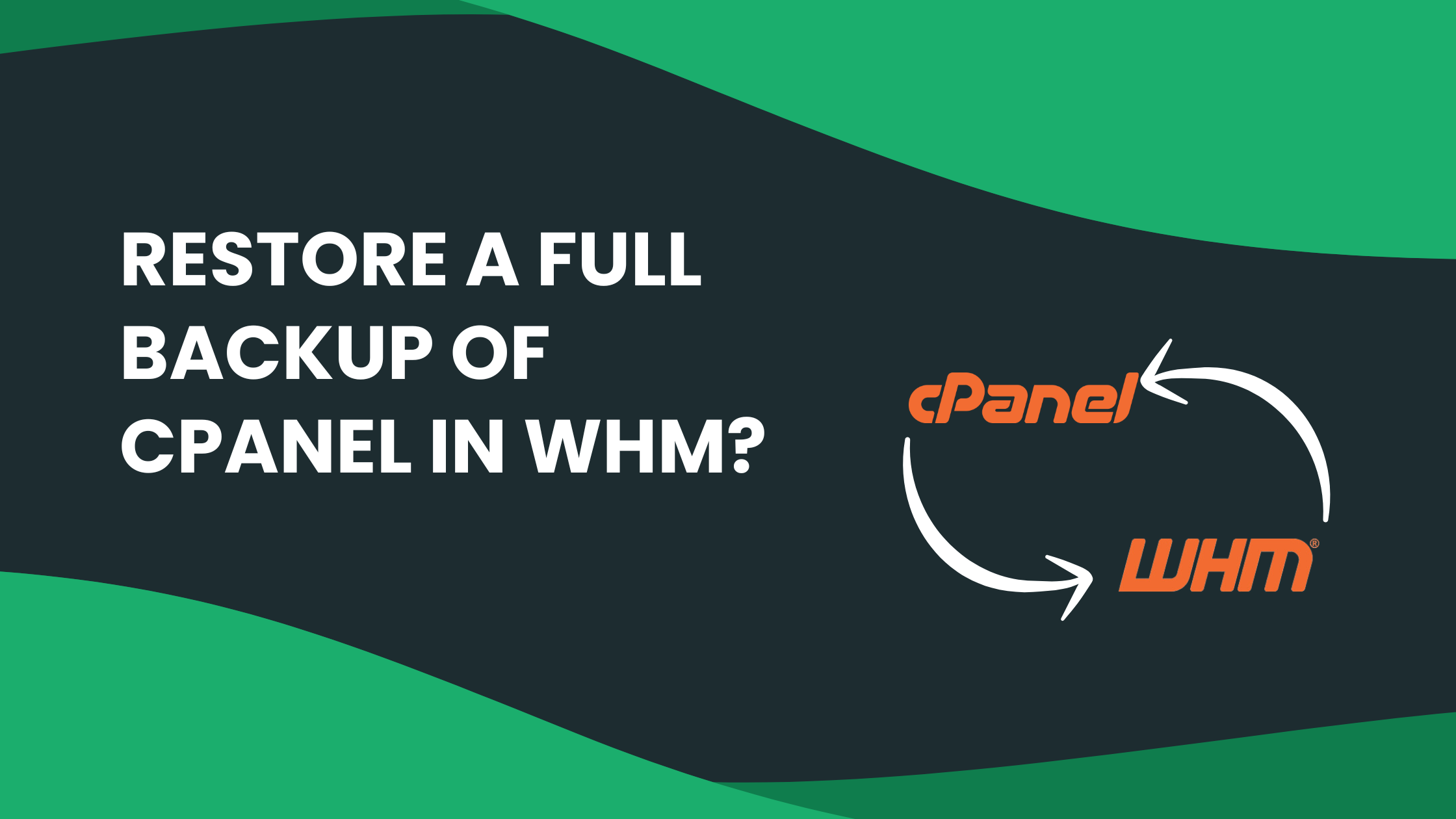 You are currently viewing How to Restore a Full Backup of cPanel in WHM?