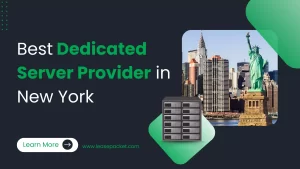 Read more about the article Best Dedicated Server Provider in New York