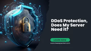 Read more about the article DDOS Protection and Mitigation Best Practices