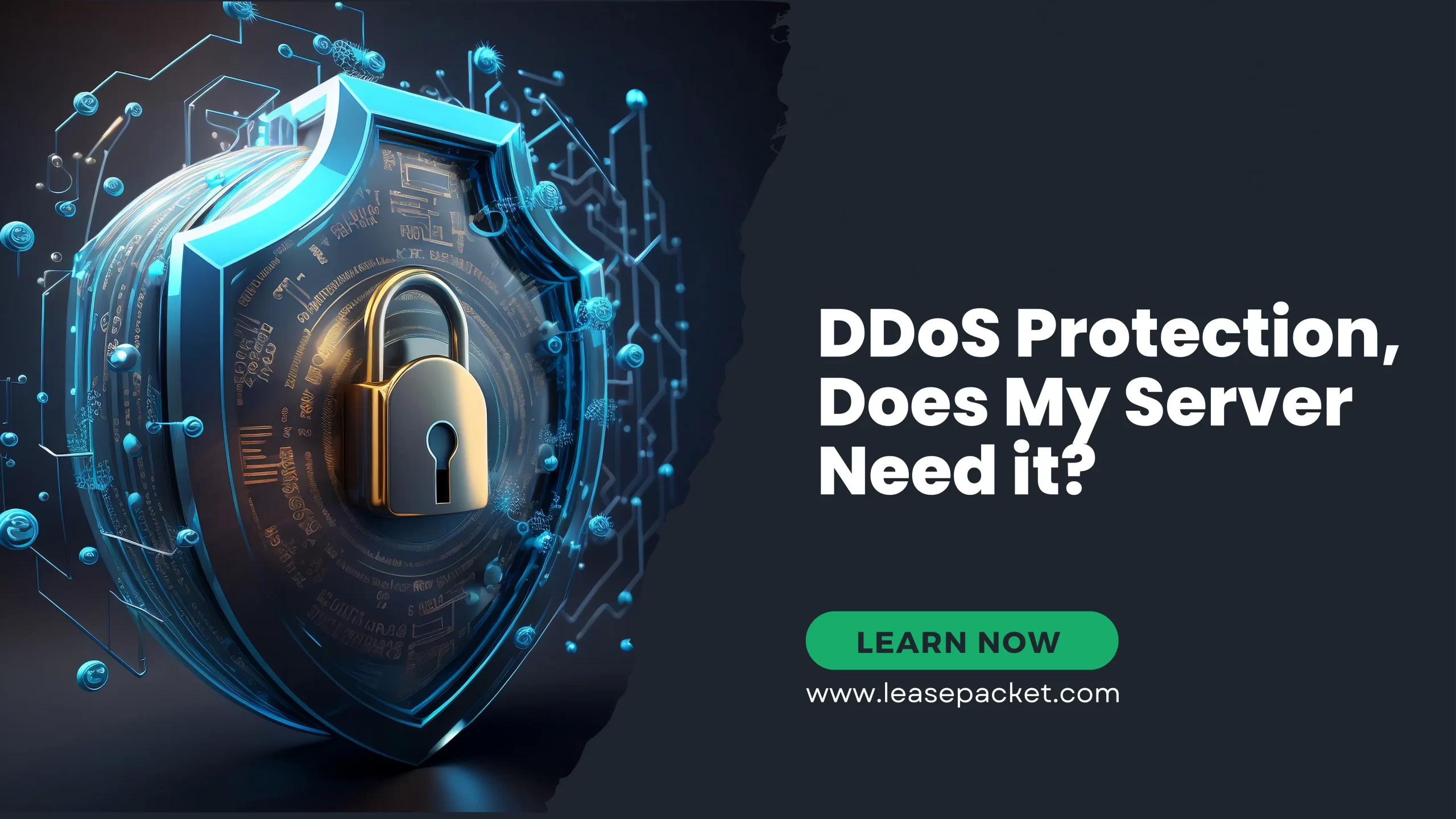 You are currently viewing DDOS Protection and Mitigation Best Practices