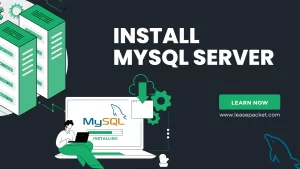 Read more about the article How To Install Mysql Server?