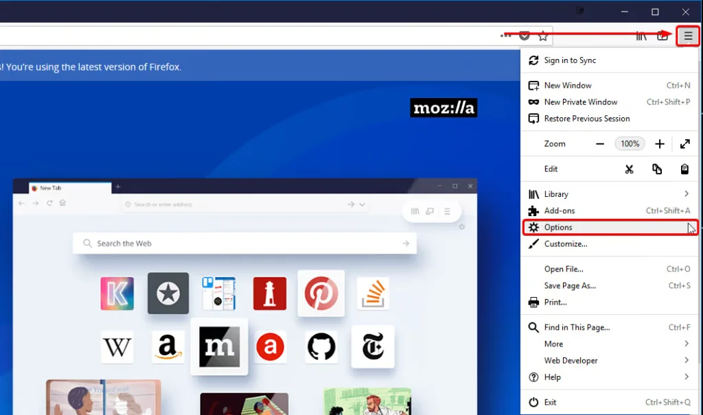 Font Options If Using Firefox 1