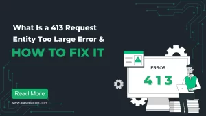 Read more about the article What is a 413 Request Entity Too Large Error & How to Fix It