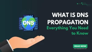 Read more about the article What is DNS Propagation? Everything You Need to Know