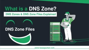 What is a DNS Zone