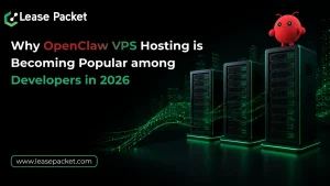 Read more about the article Why OpenClaw VPS Hosting is Becoming Popular among Developers in 2026